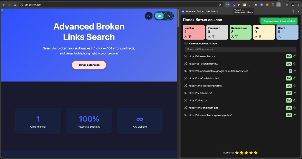 Advanced Broken Links Search docked as a Chrome side panel next to the page